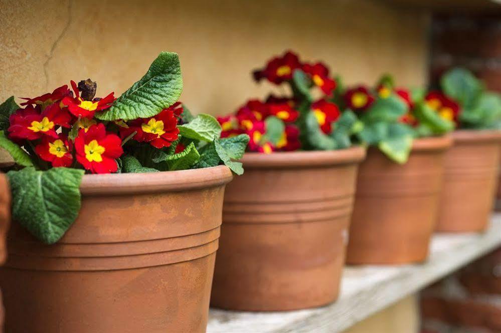 Il Relais Dell'Abbazia Bed & Breakfast Verona Luaran gambar