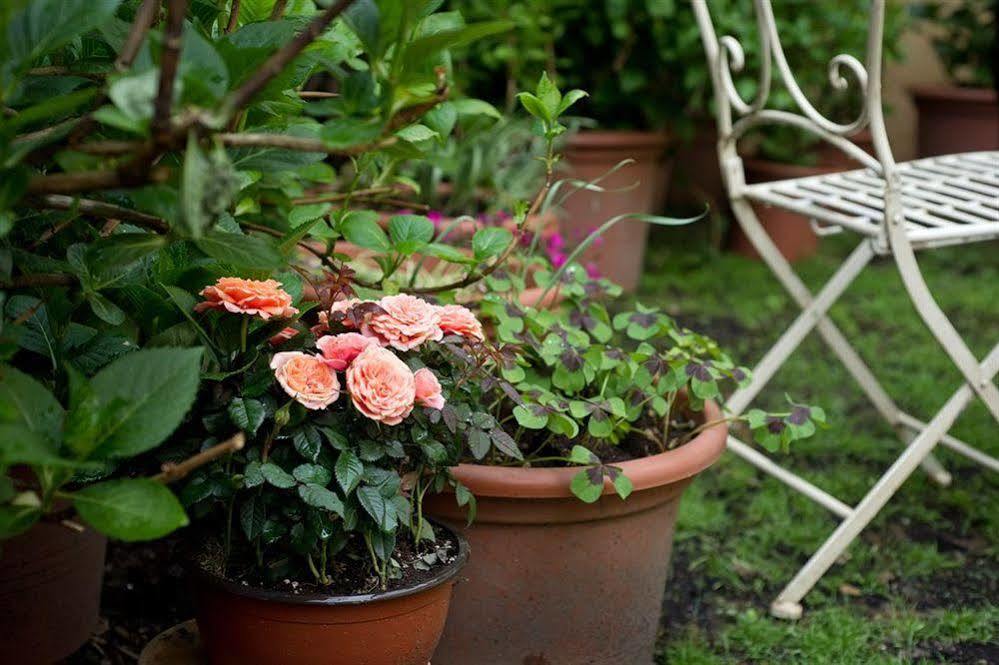 Il Relais Dell'Abbazia Bed & Breakfast Verona Luaran gambar